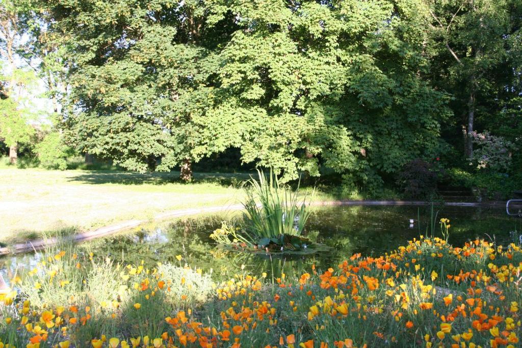Bed and Breakfast Manoir De La Manantie - Teritoria Lezoux Exterior foto